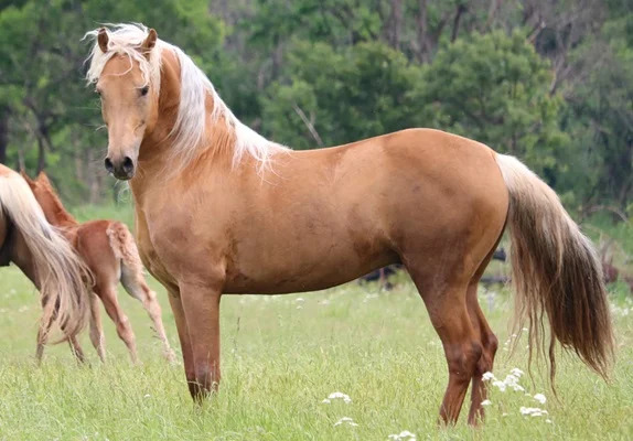 2025042119548744.jpg 99.jpg