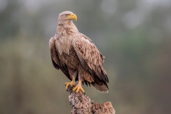 2025042213095907.webp 11.webp