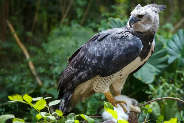 2025042215285447.webp 2.webp