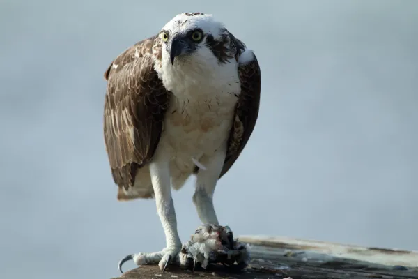 2025042215481332.webp 6.webp