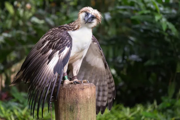 2025042216080768.webp 4.webp