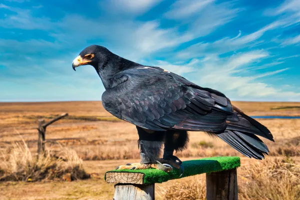 2025042216570691.webp 9.webp