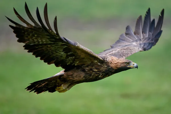 2025042250094455.webp 3.webp