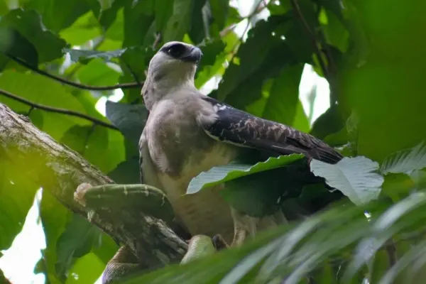 2025042259811892.webp 7.webp