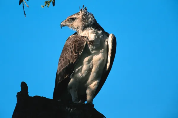 2025042260734031.webp 10.webp