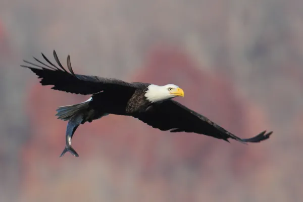 2025042279259462.webp 5.webp