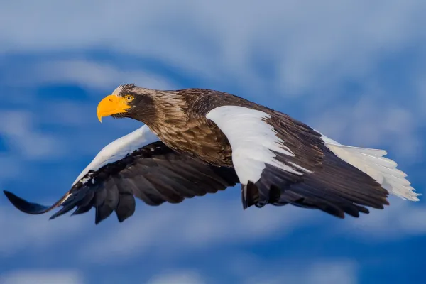 2025042295544676.webp 8.webp