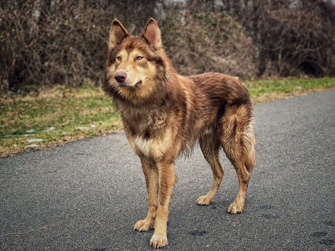 2025042297346914.jpg 15.jpg