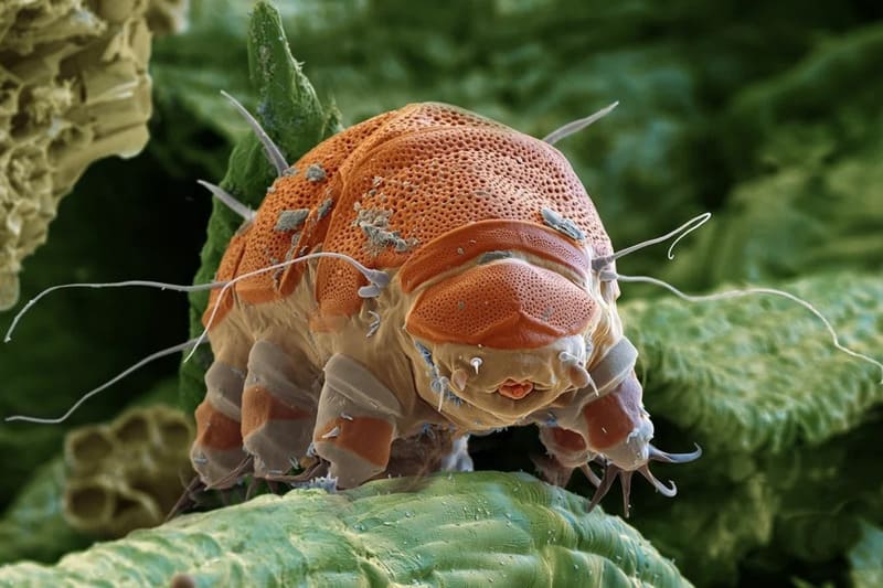 2025042534132009.jpg 6.jpg