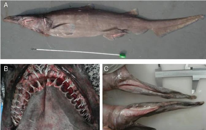 2025042521153432.jpg 55.jpg