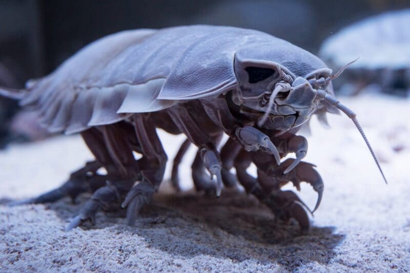 2025042541096504.jpg 44.jpg