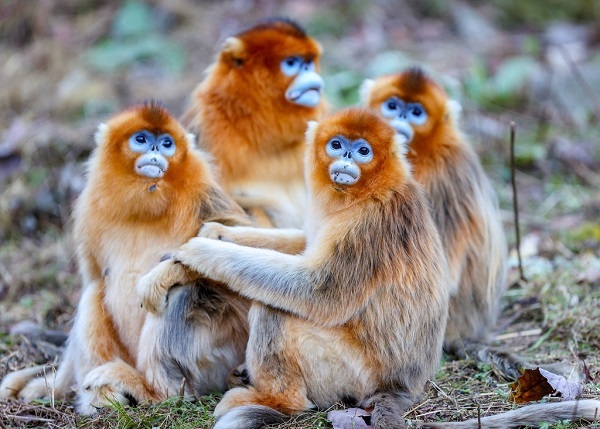 2025042811465448.jpeg 5.jpeg