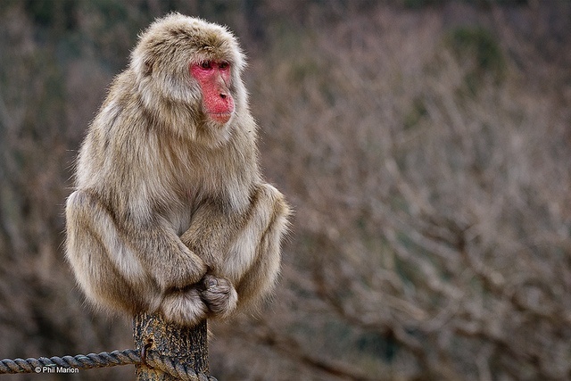 2025042867831899.jpg 88.jpg