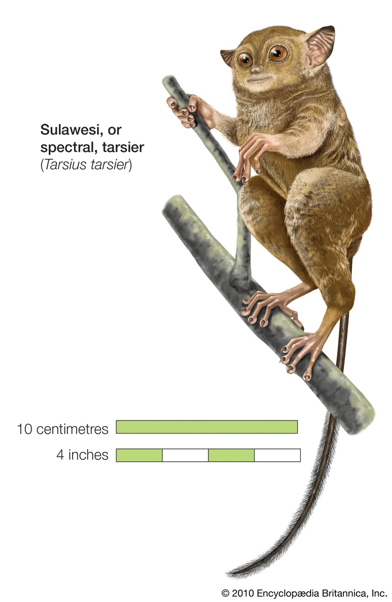 2025042815193411.jpg 33.jpg