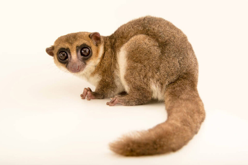 2025042820933656.jpg 7.jpg