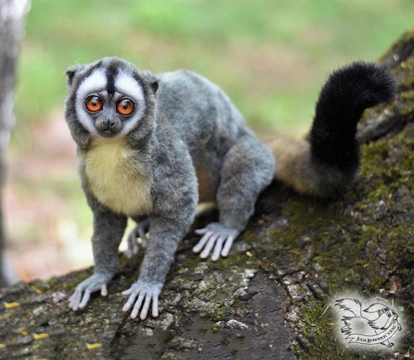 2025042817048505.jpg 99.jpg