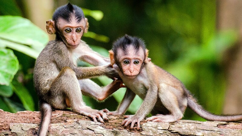 2025042812906750.jpg 125.jpg