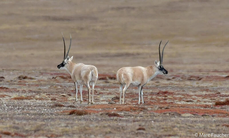 2025050175464435.jpeg 39.jpeg