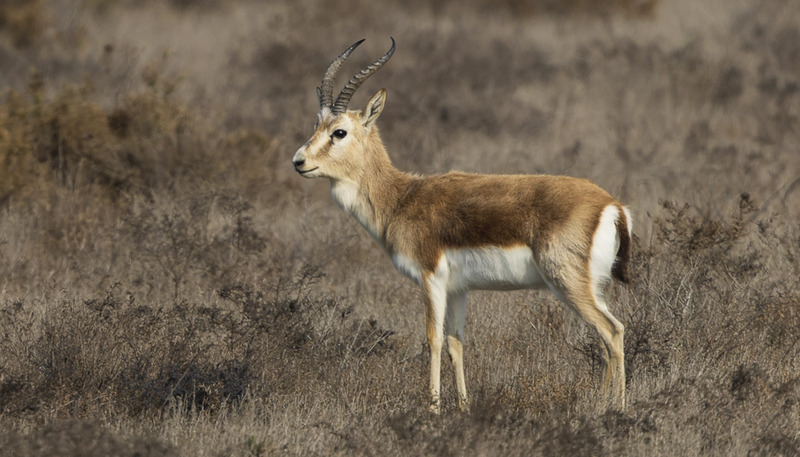 2025050186808839.jpg 32.jpg