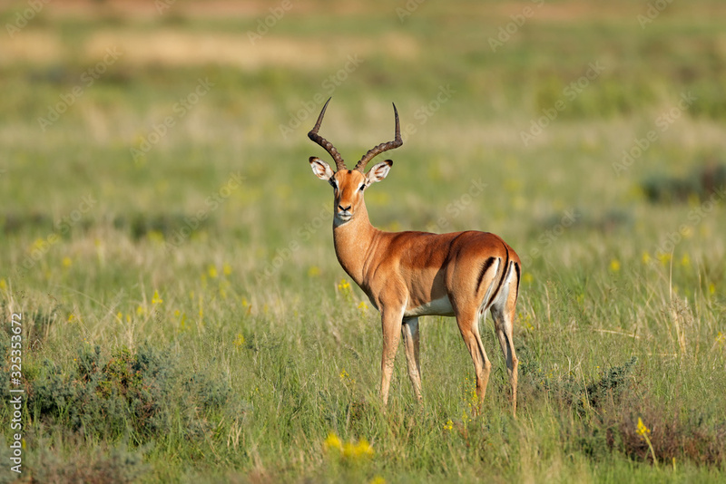 2025050156053284.jpg 5.jpg