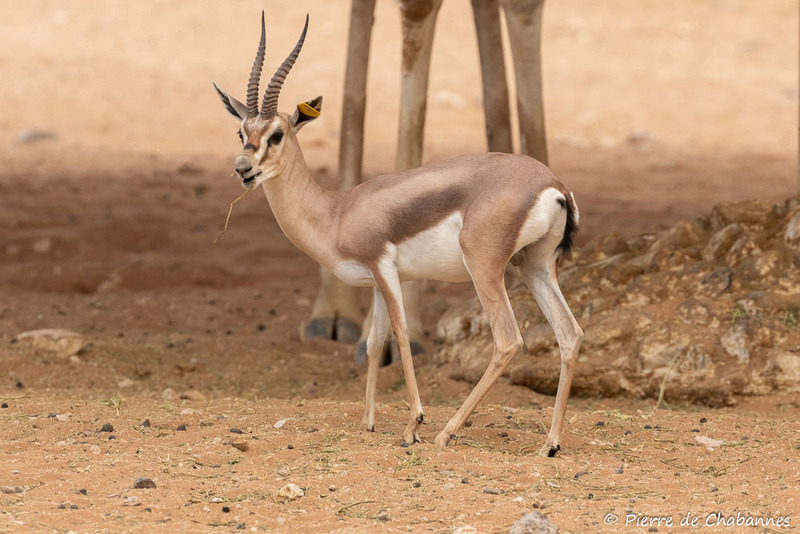 2025050119534742.jpg 33.jpg