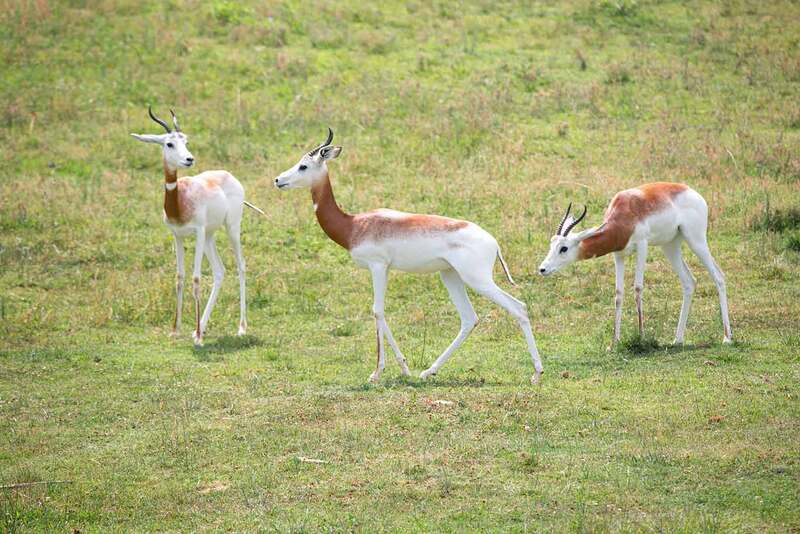 2025050182957169.jpg 12.jpg