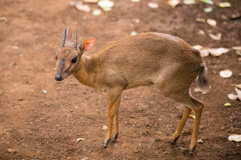 2025050116806899.jpg 16.jpg