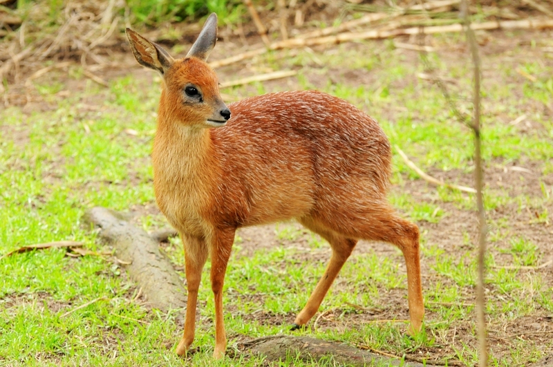 2025050120426763.jpg 36.jpg