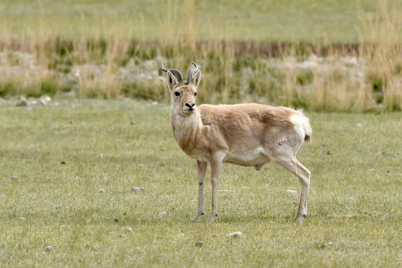 2025050121403561.jpg 19.jpg