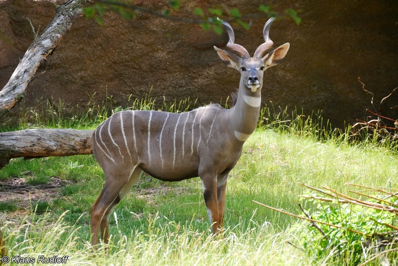 2025050113997556.jpg 18.jpg