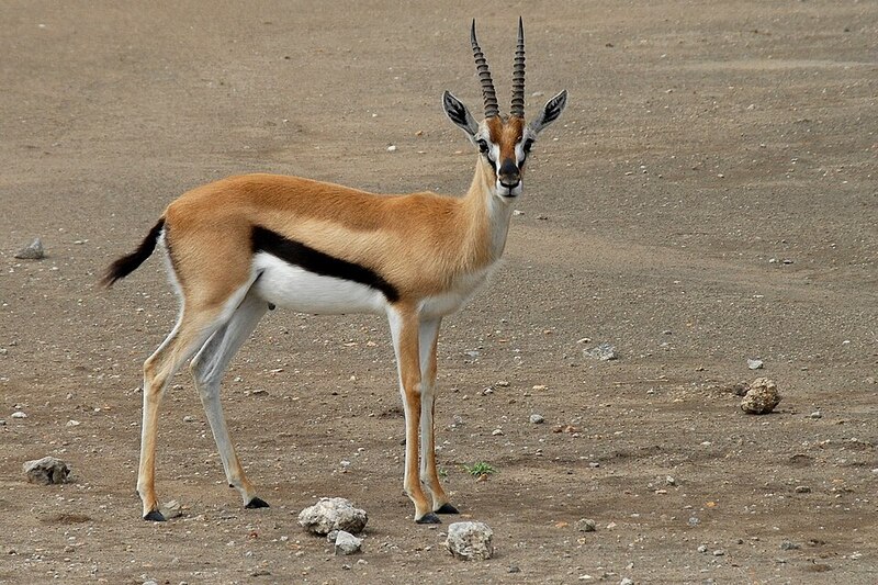 2025050114429435.jpg 22.jpg