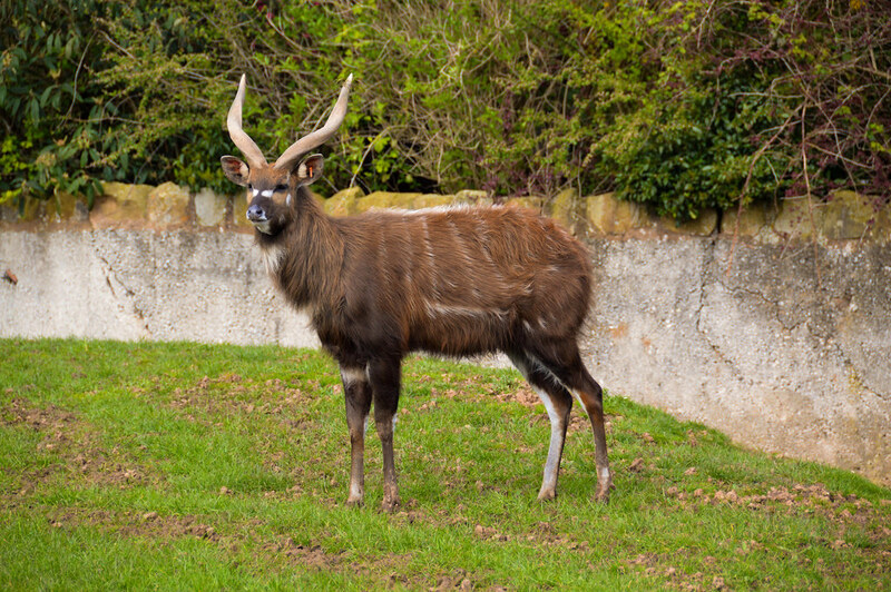 2025050166309975.jpg 11.jpg