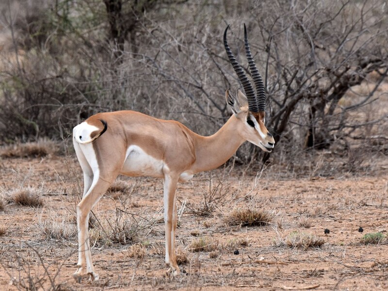 2025050177506636.jpg 23.jpg