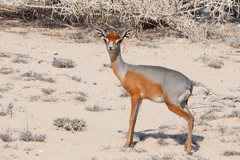 2025050119895037.jpeg 20.jpeg