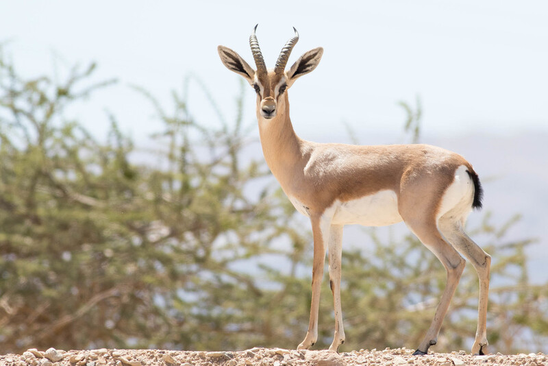 2025050111722615.jpg 30.jpg