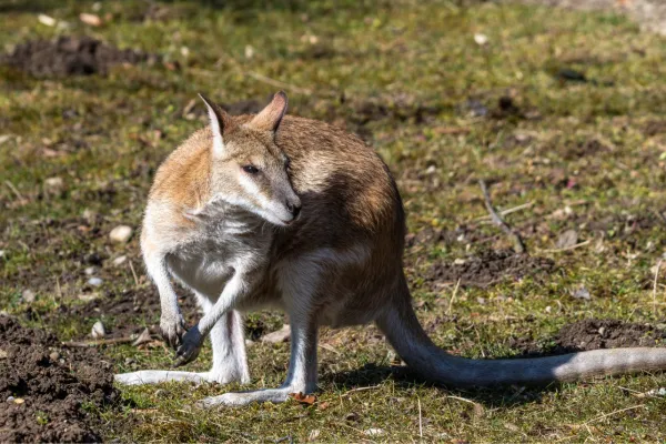 2025050614693637.webp 10.webp