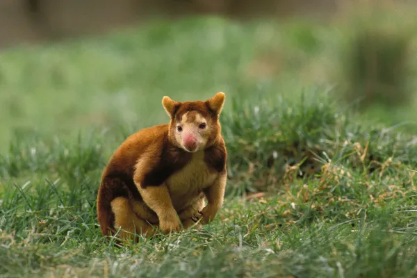 2025050620122387.webp 7.webp