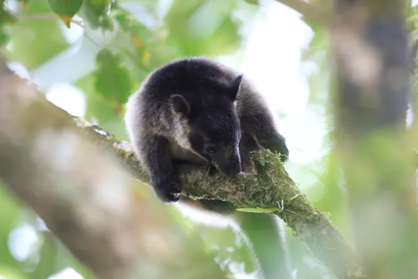 2025050670473216.webp 9.webp