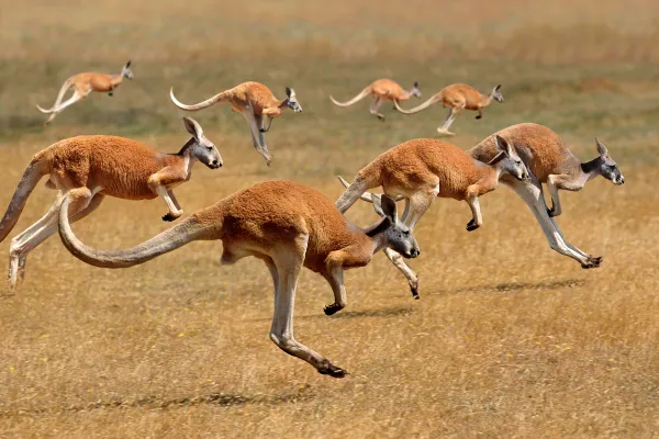 2025050670946361.webp 6.webp