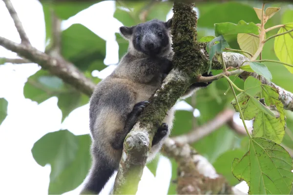 2025050685606909.webp 5.webp