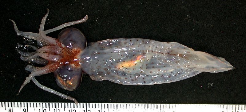 2025050710501647.jpg 55.jpg