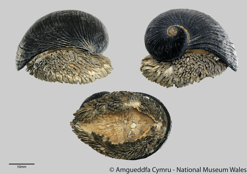 2025050711060230.jpg 777.jpg