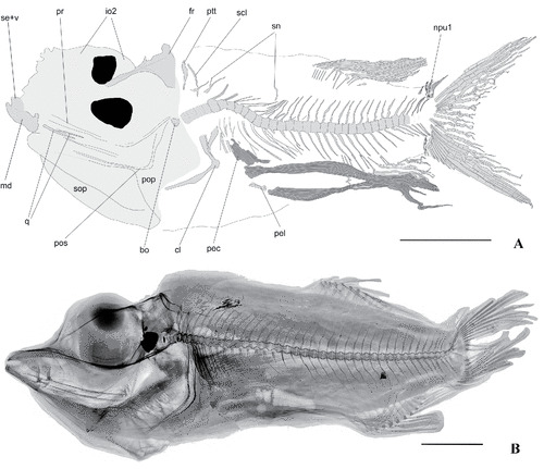 2025050715113969.jpg 44.jpg