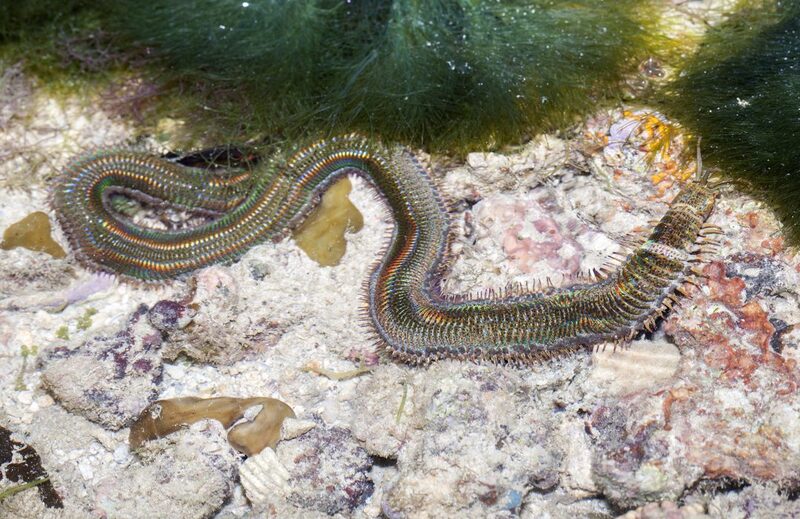 2025050750220777.jpg 9.jpg