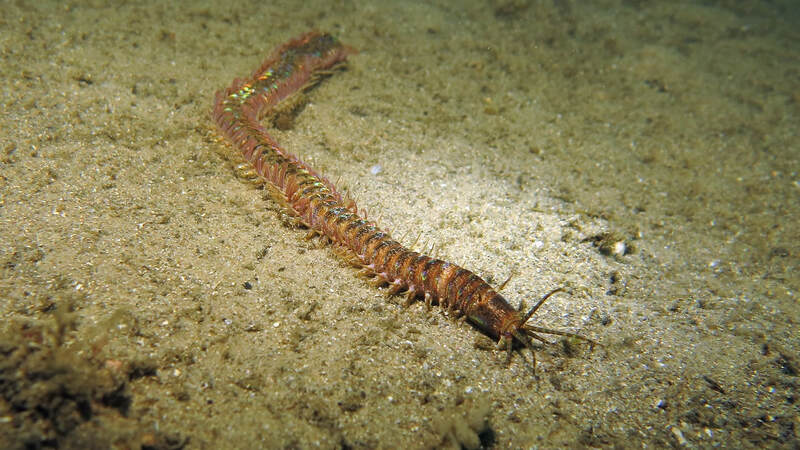 2025050740761471.jpg 99.jpg