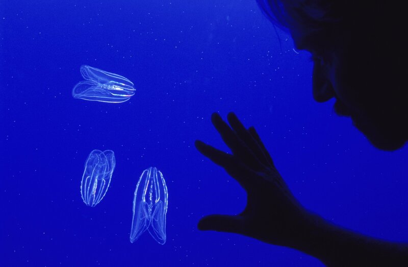 2025050717080982.jpg 33.jpg