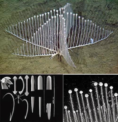 2025050727176063.jpg 66.jpg