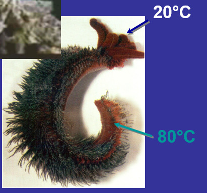 2025050797415044.jpg 11.jpg