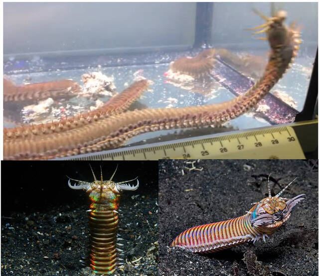 2025050911377429.jpg 7.jpg