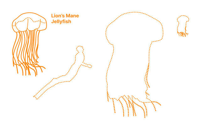 2025050917523135.jpg 55.jpg